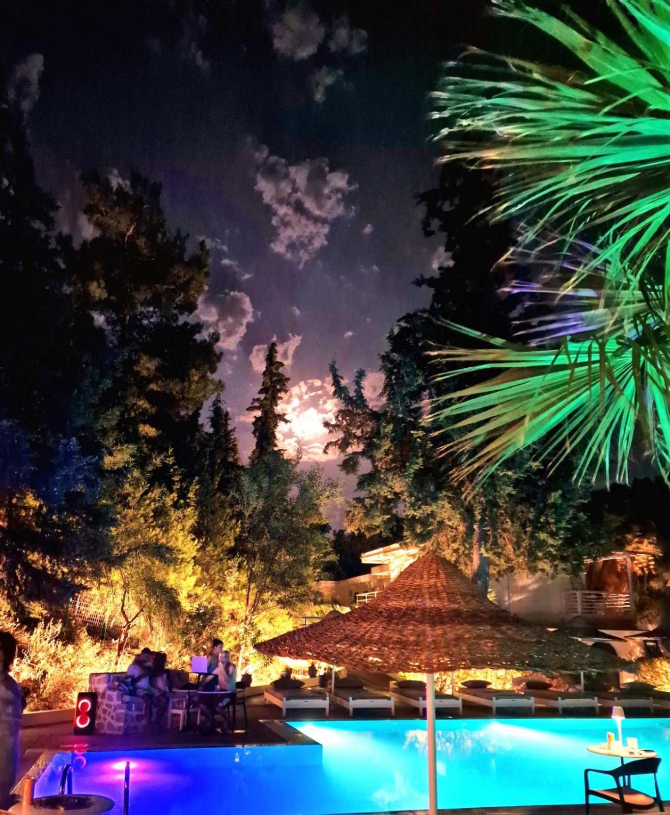 Pine Trees Art Hotel Ixia  Luaran gambar